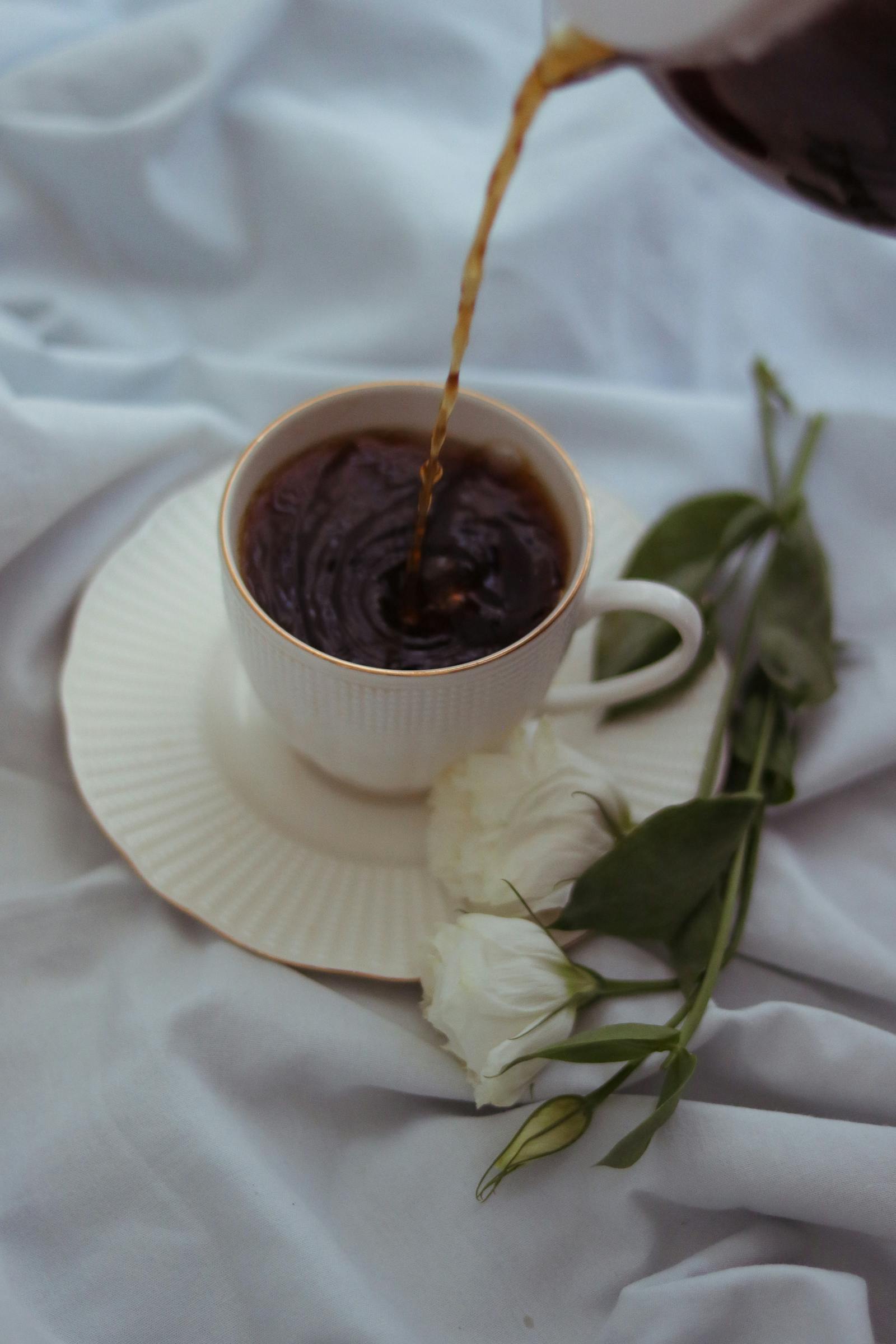 Bean-to-cup coffee